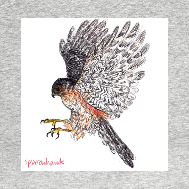 Sparrowhawk drawing by sadnettles